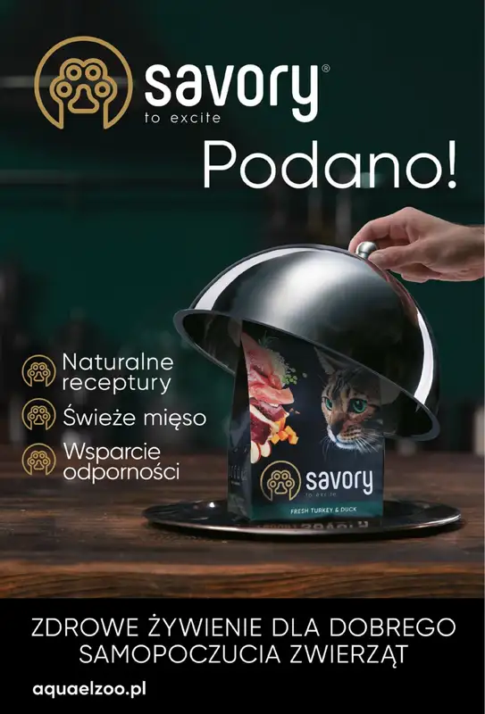 Aquael zoo - gazetka promocyjna Gazetka od poniedziałku 02.02 do soboty 28.02 - strona 10