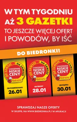 Biedronka - gazetka promocyjna Od środy od środy 28.01 do wtorku 03.02 - strona 3