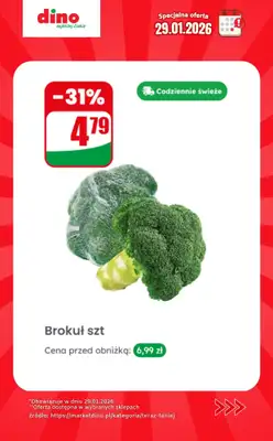 Dino - gazetka promocyjna Specjalna oferta na 29.01.2026 - promocje spoza gazetki od czwartku 29.01 do czwartku 29.01 - strona 5