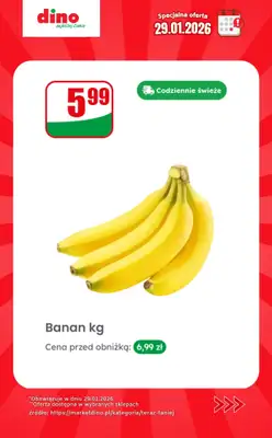 Dino - gazetka promocyjna Specjalna oferta na 29.01.2026 - promocje spoza gazetki od czwartku 29.01 do czwartku 29.01 - strona 4