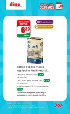 Dino - gazetka promocyjna Specjalna oferta na 30.01.2026 - promocje spoza gazetki od piątku 30.01 do piątku 30.01 - strona 12