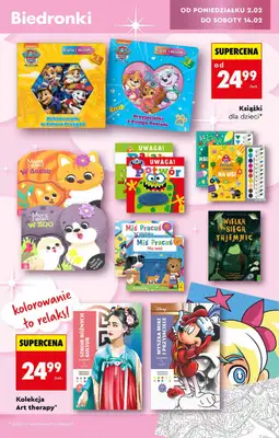 Biedronka - gazetka promocyjna Hity i inspiracje, od 31.01 od soboty 31.01 do środy 18.02 - strona 25