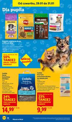 Lidl - gazetka promocyjna Oferta od czwartku od czwartku 29.01 do soboty 31.01 - strona 60