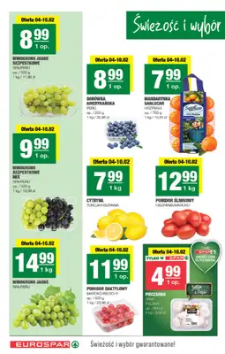 SPAR - gazetka promocyjna Gazetka Eurospar od środy 04.02 do niedzieli 15.02 - strona 2