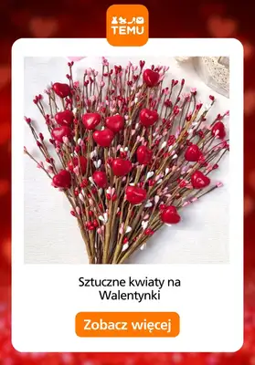 Temu - gazetka promocyjna Do -70% wyprzedaż walentynkowa od piątku 30.01 do poniedziałku 09.02 - strona 4