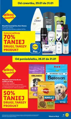 Lidl - gazetka promocyjna Oferta od czwartku od czwartku 29.01 do soboty 31.01 - strona 17
