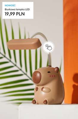 Sinsay - gazetka promocyjna Nowości do domu od soboty 31.01 do piątku 06.02 - strona 4