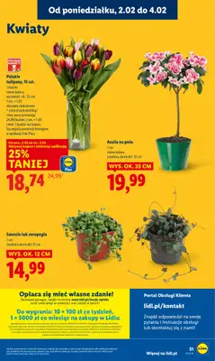 Lidl - gazetka promocyjna Oferta od poniedziałku od poniedziałku 02.02 do środy 04.02 - strona 51