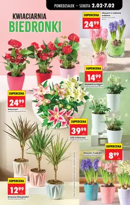 Biedronka - gazetka promocyjna Od poniedziałku, Z ladą tradycyjną od poniedziałku 02.02 do soboty 07.02 - strona 31