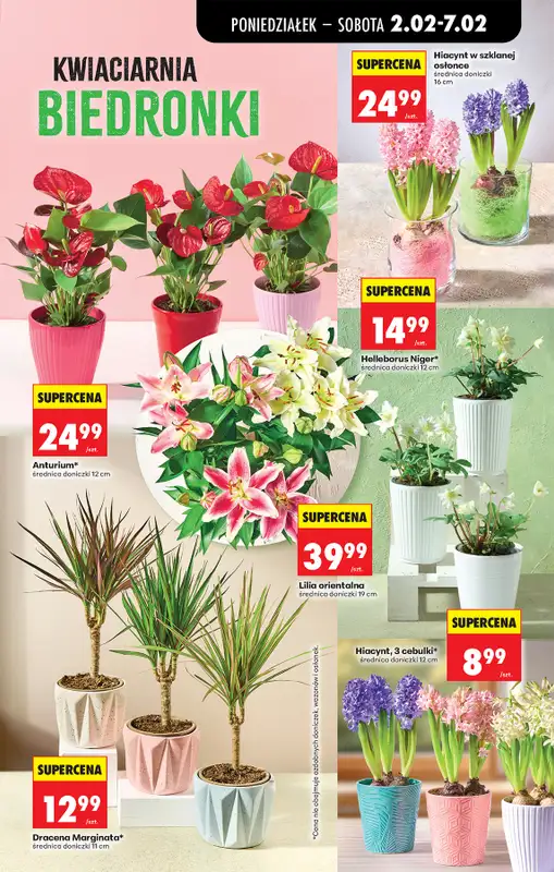 Biedronka - gazetka promocyjna Od poniedziałku, Z ladą tradycyjną od poniedziałku 02.02 do soboty 07.02 - strona 31