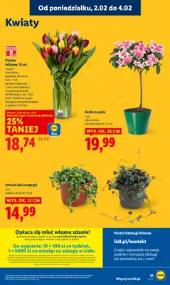 Lidl - gazetka promocyjna Oferta od poniedziałku od poniedziałku 02.02 do środy 04.02 - strona 51