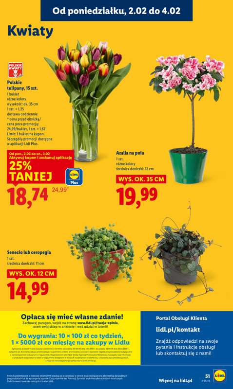 Lidl - gazetka promocyjna Oferta od poniedziałku od poniedziałku 02.02 do środy 04.02 - strona 51