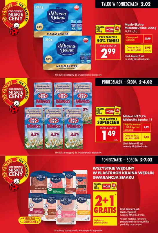 Biedronka - gazetka promocyjna Biedronkowe oszczędności   - strona 2