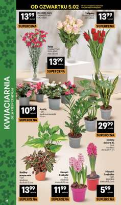 Delikatesy Centrum - gazetka promocyjna Gazetka  do środy 11.02 - strona 38