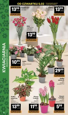 Delikatesy Centrum - gazetka promocyjna Gazetka  do środy 11.02 - strona 38