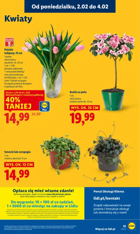 Lidl - gazetka promocyjna Oferta od poniedziałku od poniedziałku 02.02 do środy 04.02 - strona 51