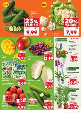 Kaufland - gazetka promocyjna Oferta Kaufland od czwartku 29.01 do środy 04.02 - strona 15