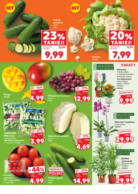 Kaufland - gazetka promocyjna Oferta Kaufland od czwartku 29.01 do środy 04.02 - strona 15