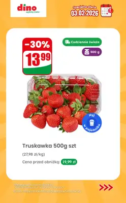 Dino - gazetka promocyjna Specjalna oferta na 03.02.2026 - promocje spoza gazetki od wtorku 03.02 do wtorku 03.02 - strona 7