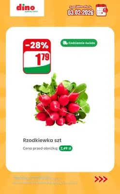 Dino - gazetka promocyjna Specjalna oferta na 03.02.2026 - promocje spoza gazetki od wtorku 03.02 do wtorku 03.02 - strona 4