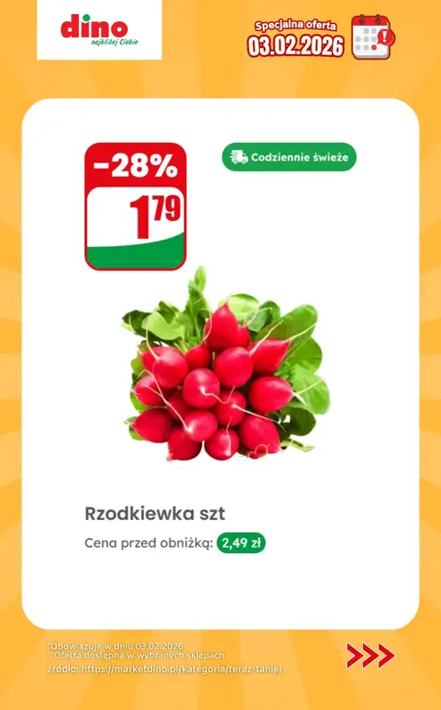 Dino - gazetka promocyjna Specjalna oferta na 03.02.2026 - promocje spoza gazetki od wtorku 03.02 do wtorku 03.02 - strona 4