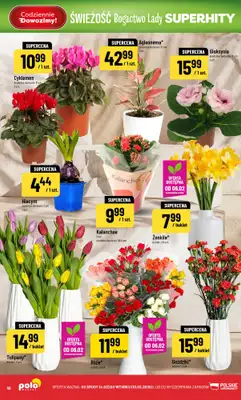 POLOmarket - gazetka promocyjna Gazetka od środy 04.02 do wtorku 10.02 - strona 16