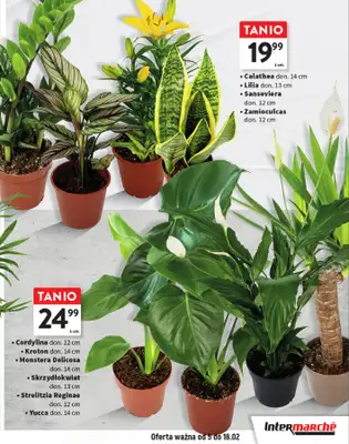 Intermarche - gazetka promocyjna Katalog Przytulnie i praktycznie od czwartku 05.02 do środy 18.02 - strona 7