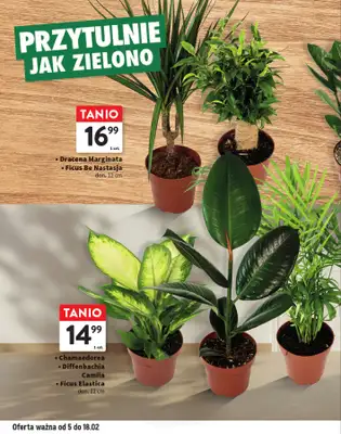 Intermarche - gazetka promocyjna Katalog Przytulnie i praktycznie od czwartku 05.02 do środy 18.02 - strona 6