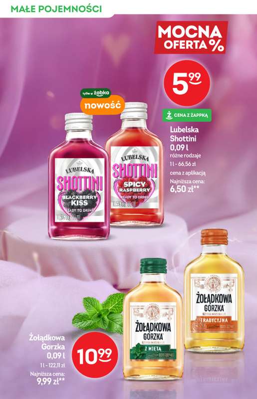 Żabka - gazetka promocyjna Katalog alkoholowy od środy 04.02 do wtorku 17.02 - strona 10