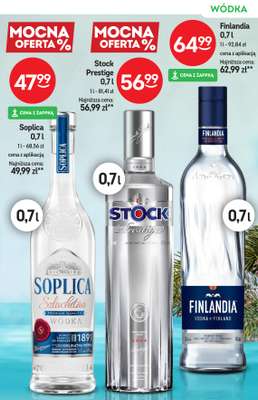 Żabka - gazetka promocyjna Katalog alkoholowy od środy 04.02 do wtorku 17.02 - strona 13