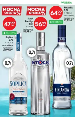 Żabka - gazetka promocyjna Katalog alkoholowy od środy 04.02 do wtorku 17.02 - strona 13
