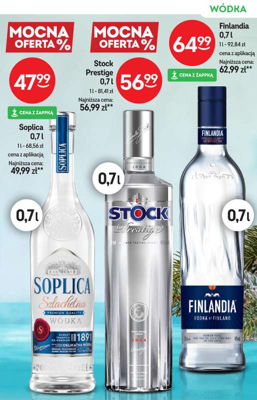 Żabka - gazetka promocyjna Katalog alkoholowy od środy 04.02 do wtorku 17.02 - strona 13