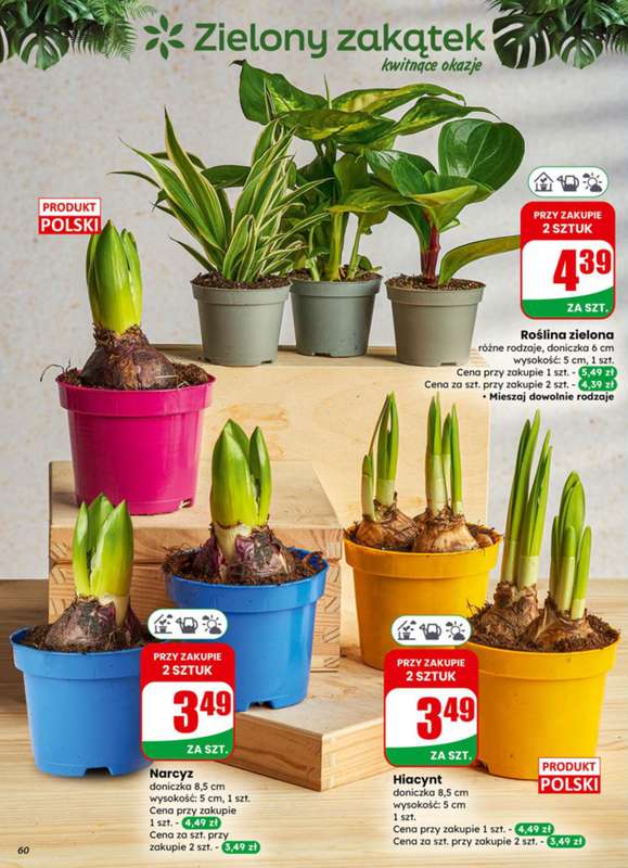 Dino - gazetka promocyjna Gazetka 06 / 2026 od środy 04.02 do wtorku 10.02 - strona 60