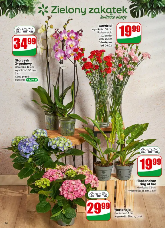 Dino - gazetka promocyjna Gazetka 06 / 2026 od środy 04.02 do wtorku 10.02 - strona 58