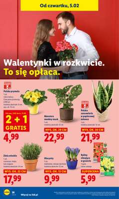 Lidl - gazetka promocyjna Oferta od czwartku od czwartku 05.02 do soboty 07.02 - strona 40