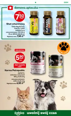 Żabka - gazetka promocyjna Gazetka od środy 28.01 do wtorku 10.02 - strona 64