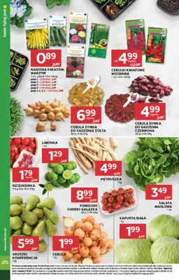 Stokrotka - gazetka promocyjna Gazetka Market od czwartku 05.02 do środy 11.02 - strona 12