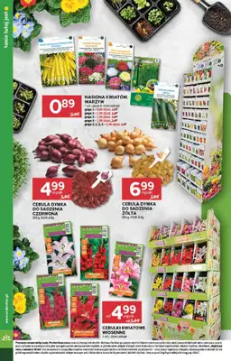 Stokrotka - gazetka promocyjna Gazetka Supermarket od czwartku 05.02 do środy 11.02 - strona 12