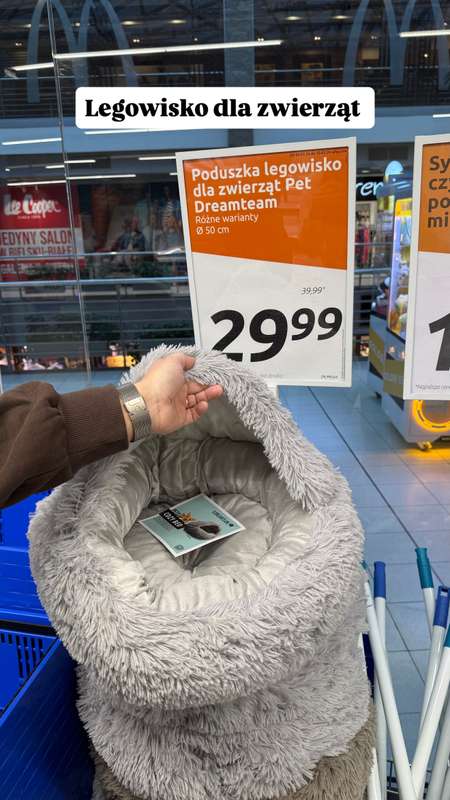 Action - gazetka promocyjna Zakupowe Inspiracje w Action od czwartku 05.02  - strona 5