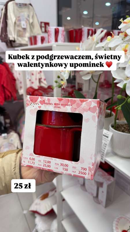 Pepco - gazetka promocyjna Zakupowe Inspiracje w Pepco od czwartku 05.02  - strona 3