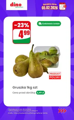 Dino - gazetka promocyjna Specjalna oferta na 05.02.2026 - promocje spoza gazetki od czwartku 05.02 do czwartku 05.02 - strona 3