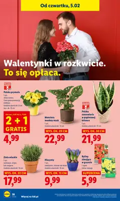 Lidl - gazetka promocyjna Oferta od czwartku od czwartku 05.02 do soboty 07.02 - strona 42