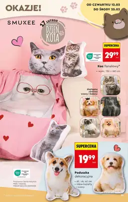 Biedronka - gazetka promocyjna Hity i inspiracje, od 07.02 od soboty 07.02 do środy 25.02 - strona 31