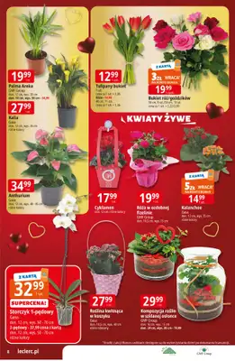 Leclerc - gazetka promocyjna Oferta E.Leclerc I Jeans od wtorku 10.02 do soboty 21.02 - strona 8