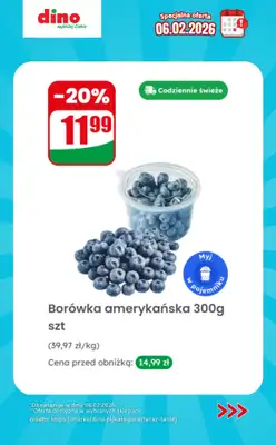 Dino - gazetka promocyjna Specjalna oferta na 06.02.2026 - promocje spoza gazetki od piątku 06.02 do piątku 06.02 - strona 3
