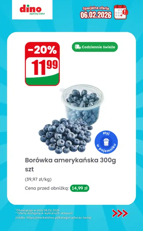 Dino - gazetka promocyjna Specjalna oferta na 06.02.2026 - promocje spoza gazetki   - strona 3