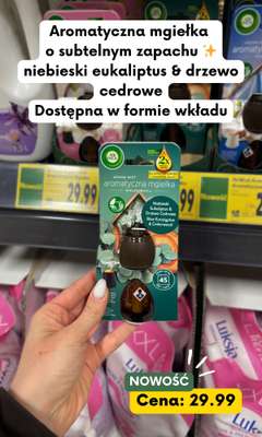Kaufland - gazetka promocyjna Zakupowe Inspiracje i NOWOŚCI w Kaufland od piątku 06.02 do poniedziałku 09.02 - strona 13