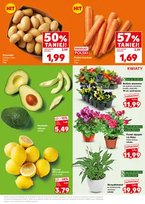 Kaufland - gazetka promocyjna Mocny Start od poniedziałku 09.02 do wtorku 10.02 - strona 17