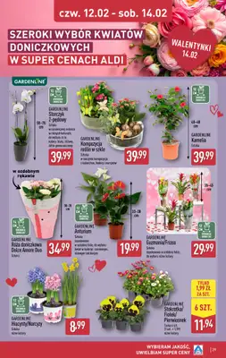 Aldi - gazetka promocyjna Pełny katalog! od poniedziałku 09.02 do soboty 14.02 - strona 29