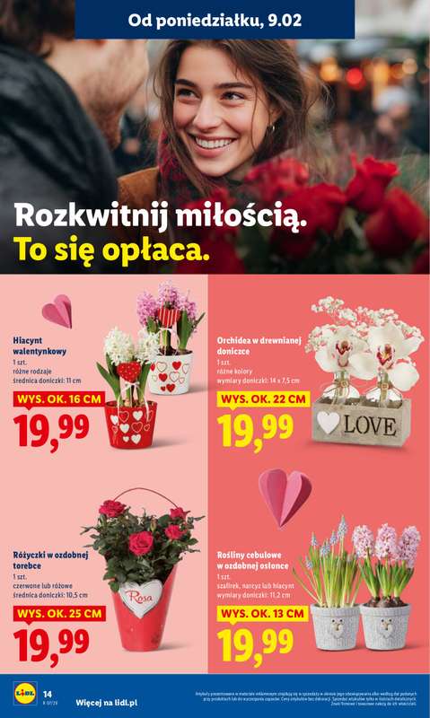 Lidl - gazetka promocyjna Oferta od poniedziałku od poniedziałku 09.02 do środy 11.02 - strona 14